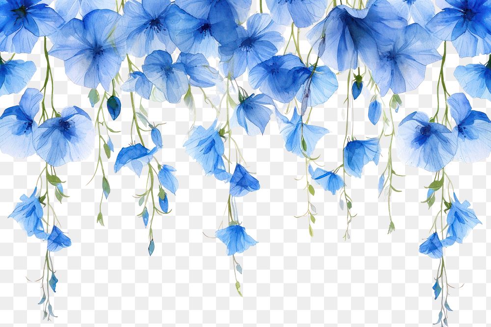PNG  Blue flowers nature plant petal.