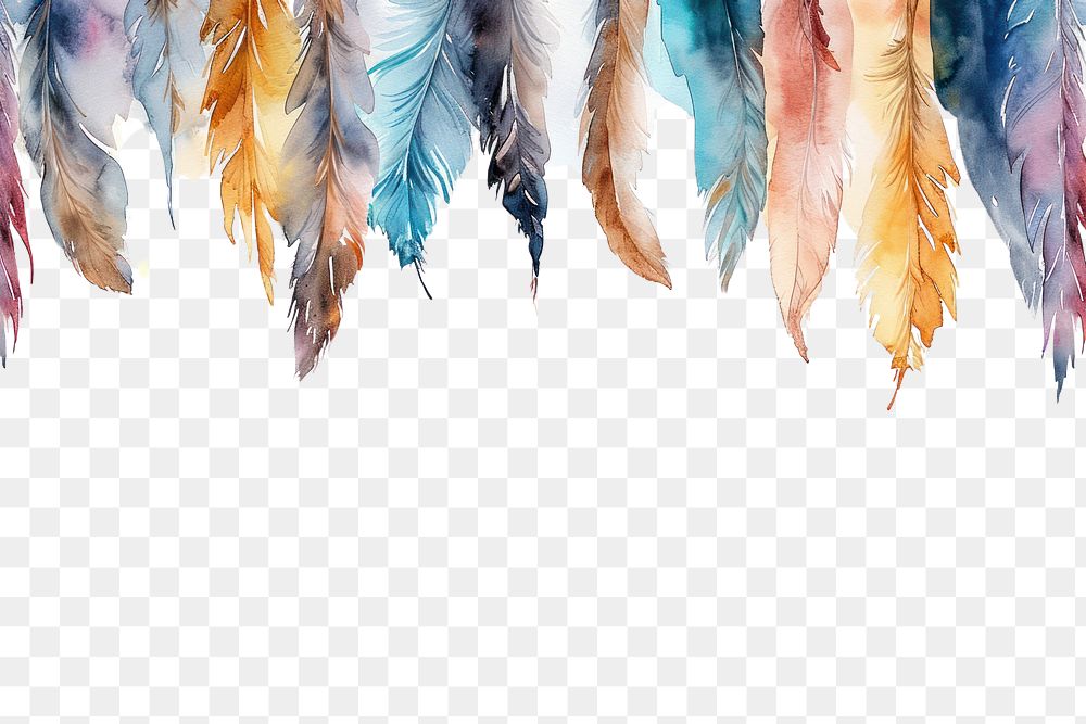 PNG  Feathers nature lightweight backgrounds.