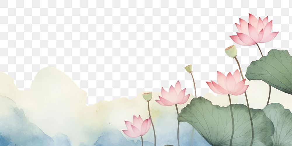 PNG Lotus blooming flower petal plant. AI generated Image by rawpixel.