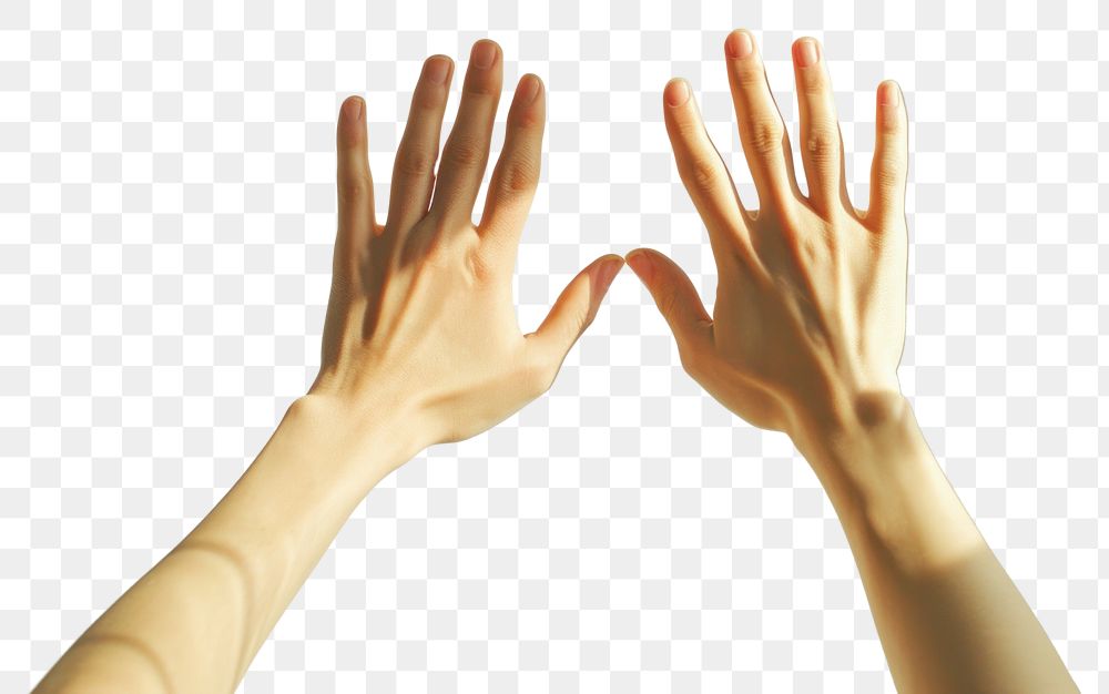 PNG Creative people hands high five adult gesturing touching.