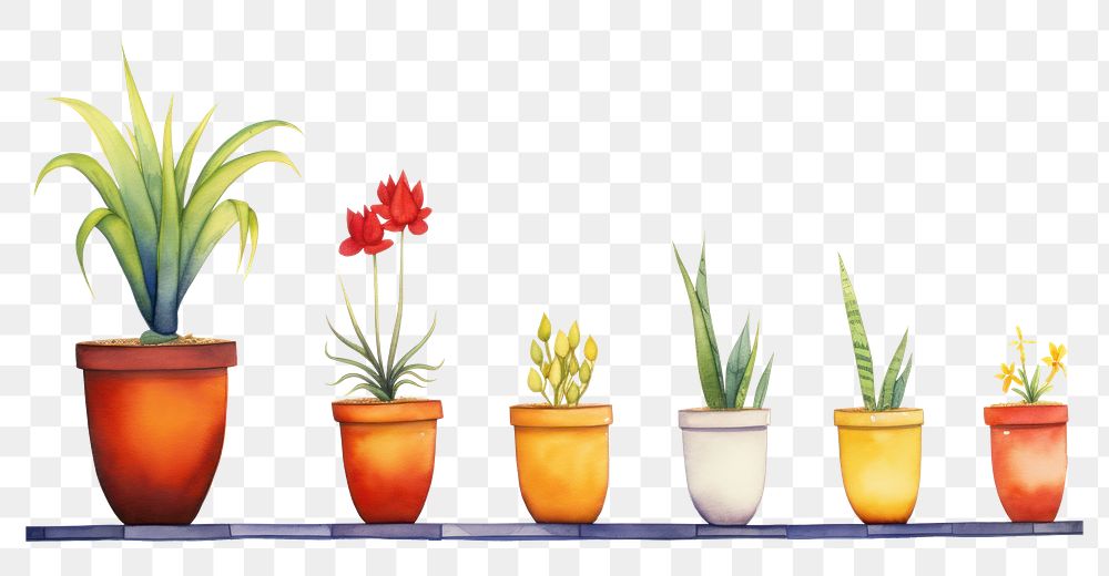 PNG Flower pot watercolor border plant white background arrangement.