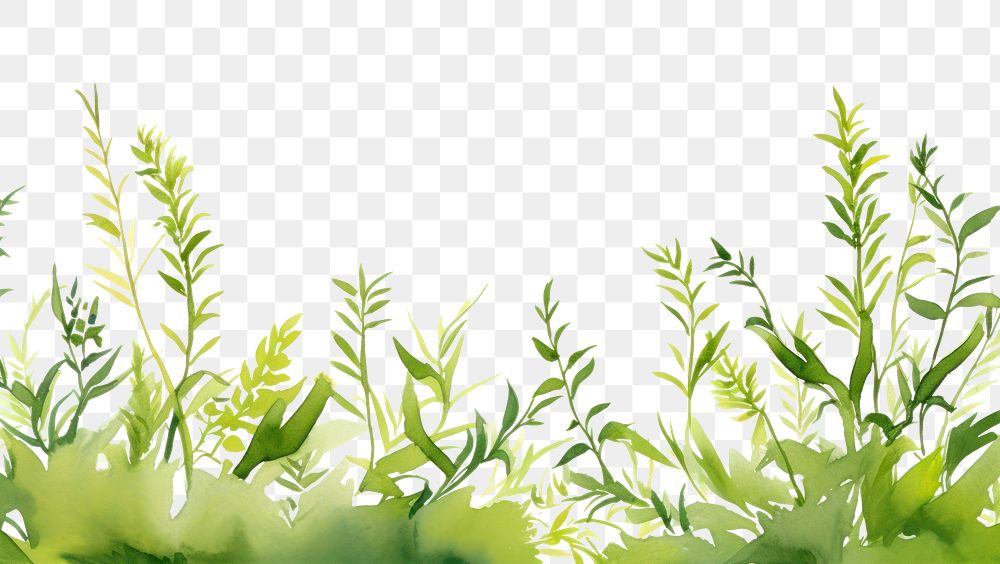 PNG Greenery watercolor border backgrounds outdoors nature.