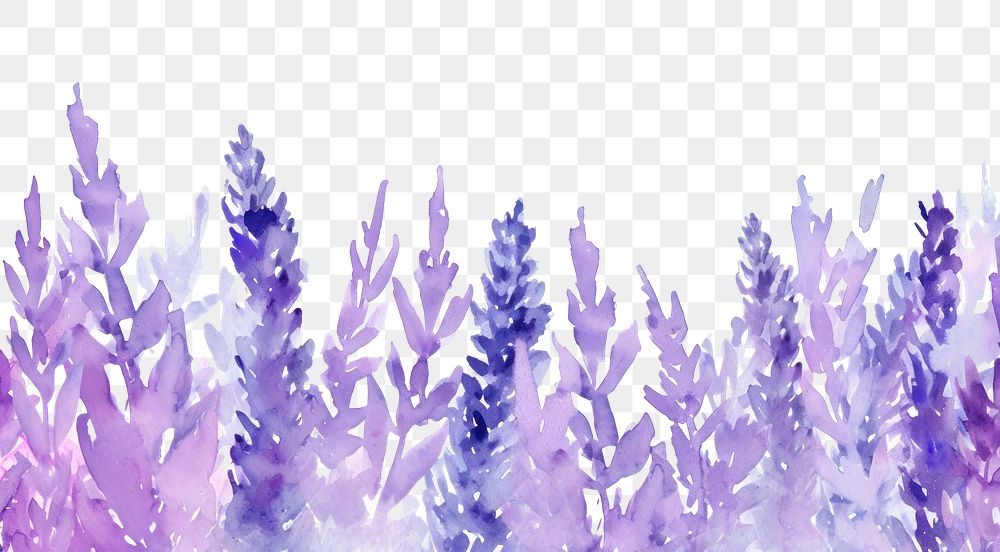 PNG Lavender watercolor border backgrounds outdoors blossom.