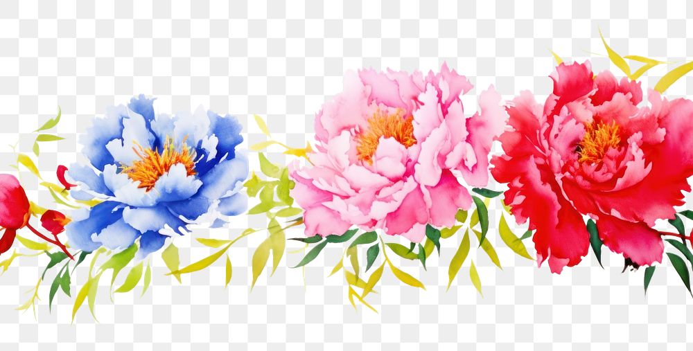 PNG Peony watercolor border pattern flower plant.