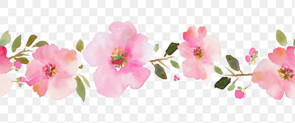PNG Pink flower watercolor border blossom petal plant.