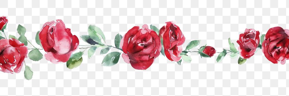 PNG Red rose watercolor border pattern flower plant.