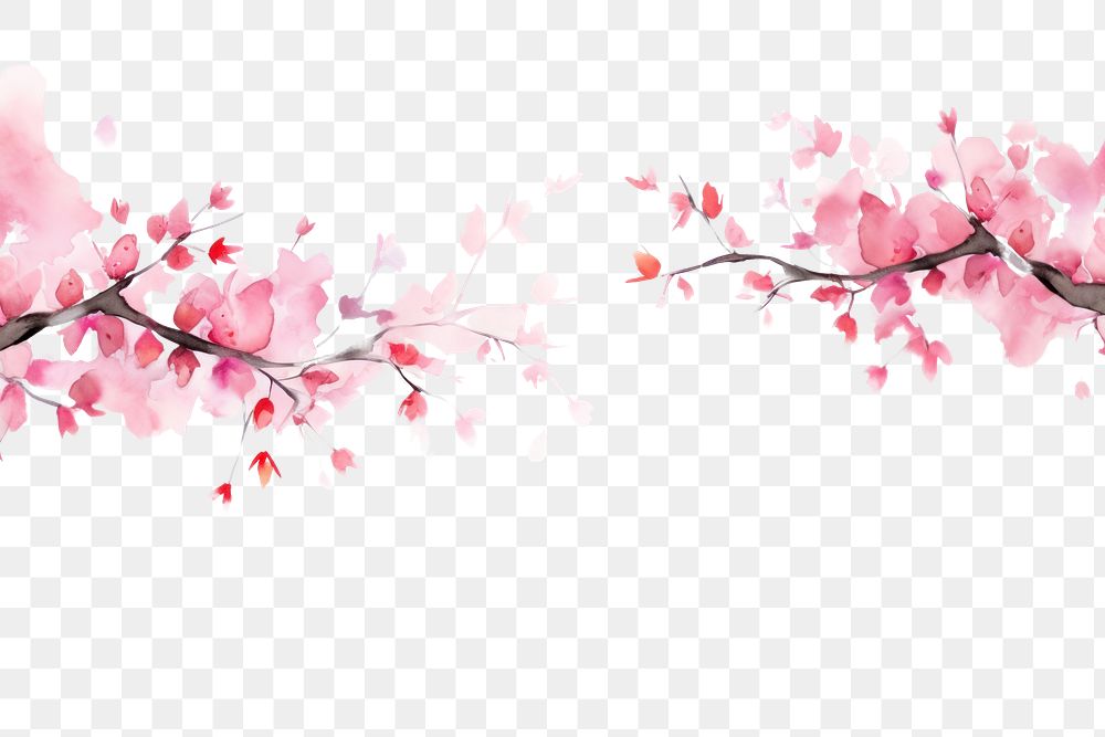 PNG Sakura watercolor border backgrounds blossom flower.