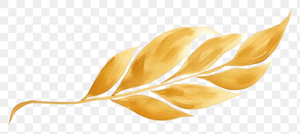 PNG  Fall leaf gold plant white background.