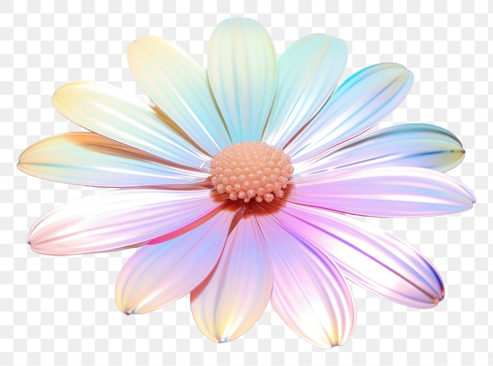 PNG Daisy iridescent flower petal plant.