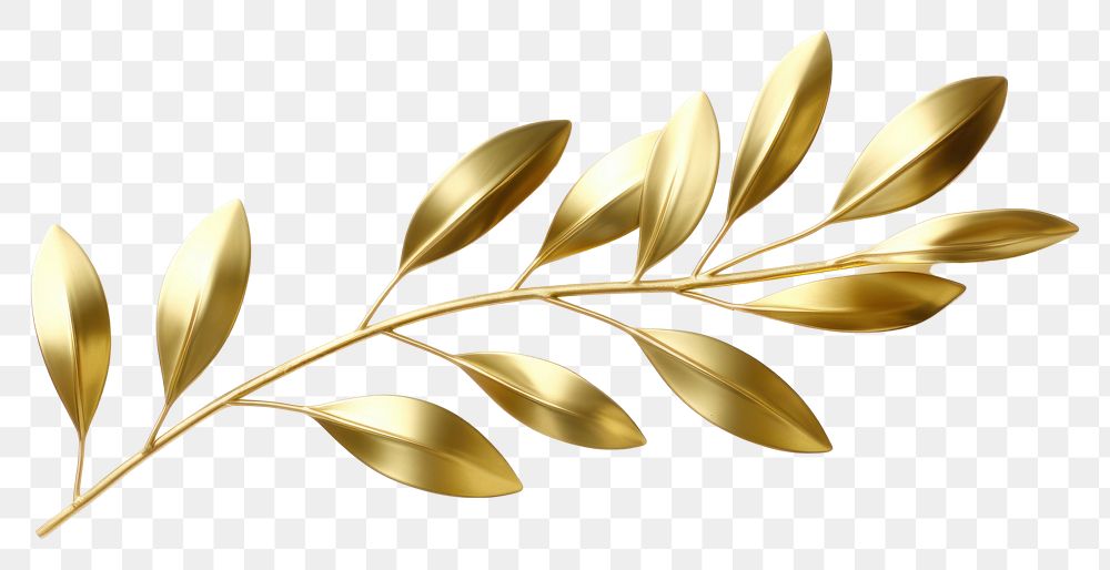 PNG Olive leaves gold shiny plant.