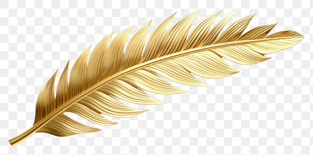 PNG Palm leaf gold jewelry white background.