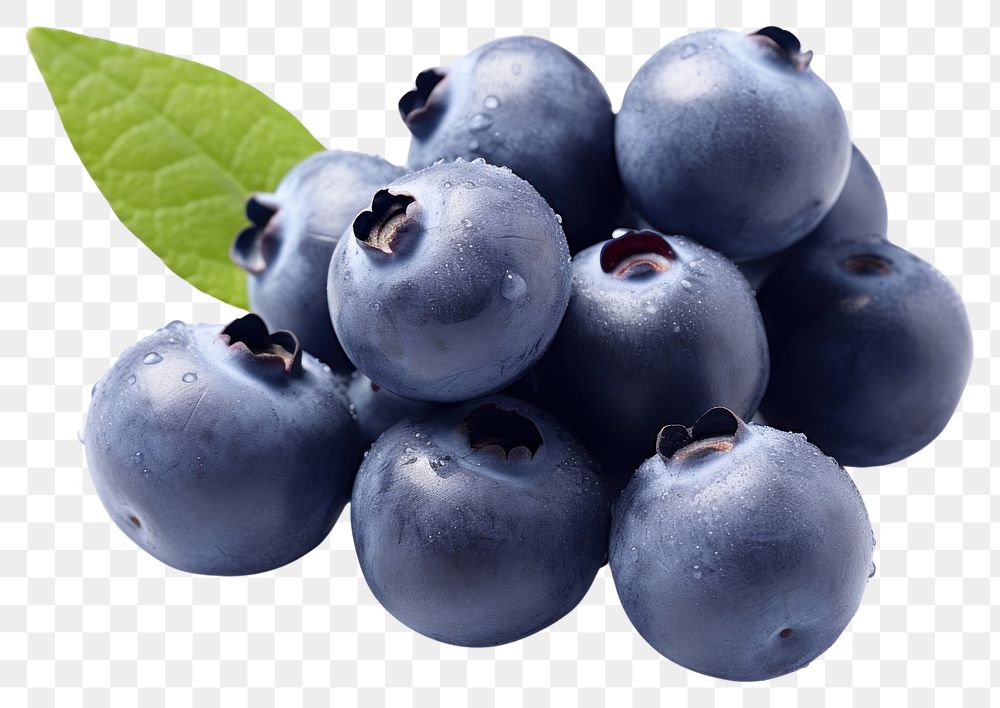 PNG Blueberry fruit plant food.