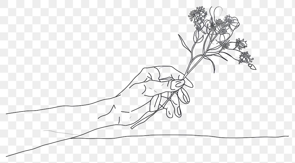 PNG  Continuous line drawing hand holding flower sketch art illustrated.