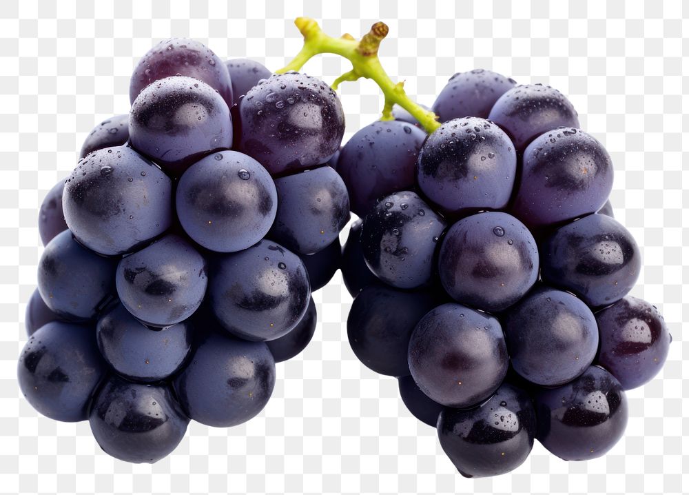 PNG Grapes grapes fruit berry.