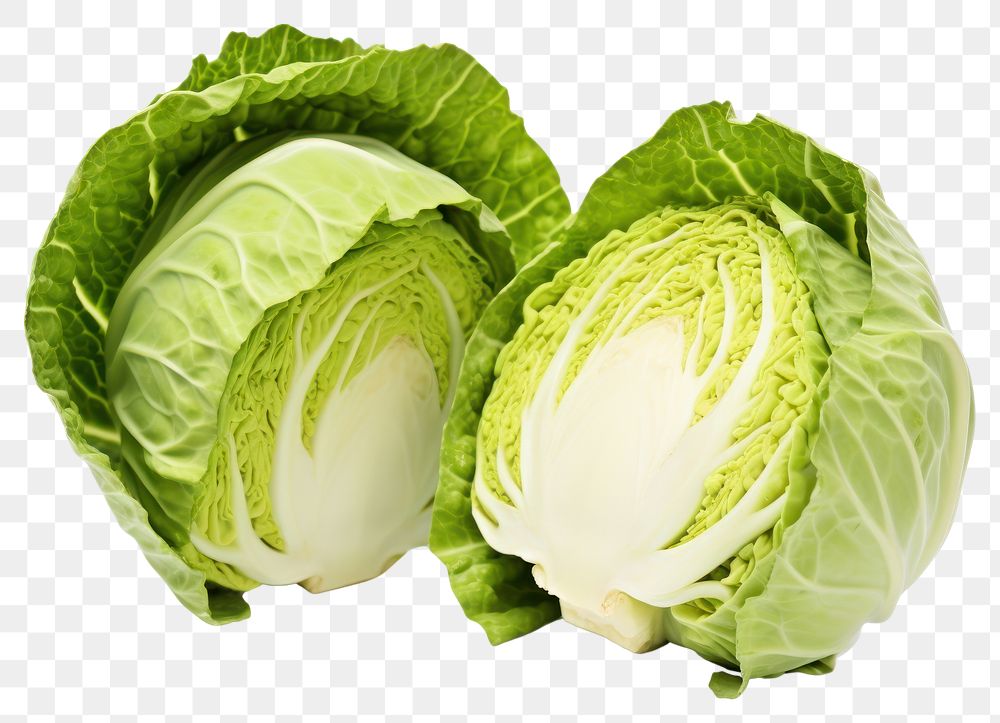 PNG Green cabbage vegetable plant food.