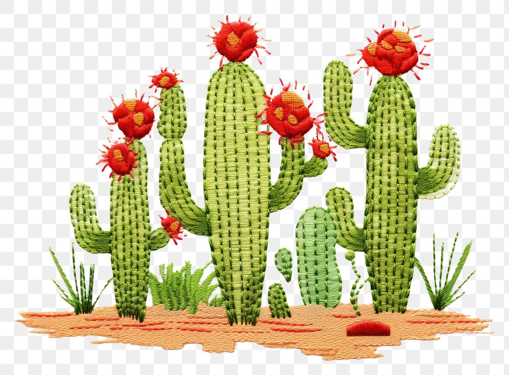 PNG  Cactus in embroidery style plant creativity freshness.