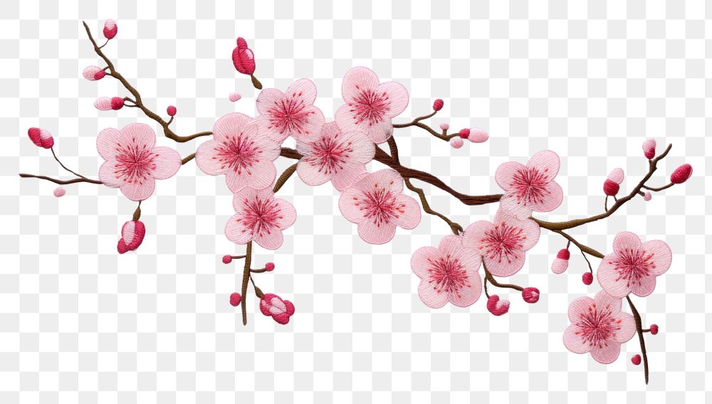 PNG  Cherry blossom in embroidery style flower plant white.