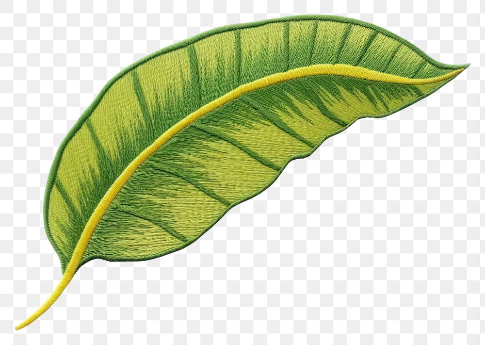 PNG  Banan leaf in embroidery style plant pattern reptile.