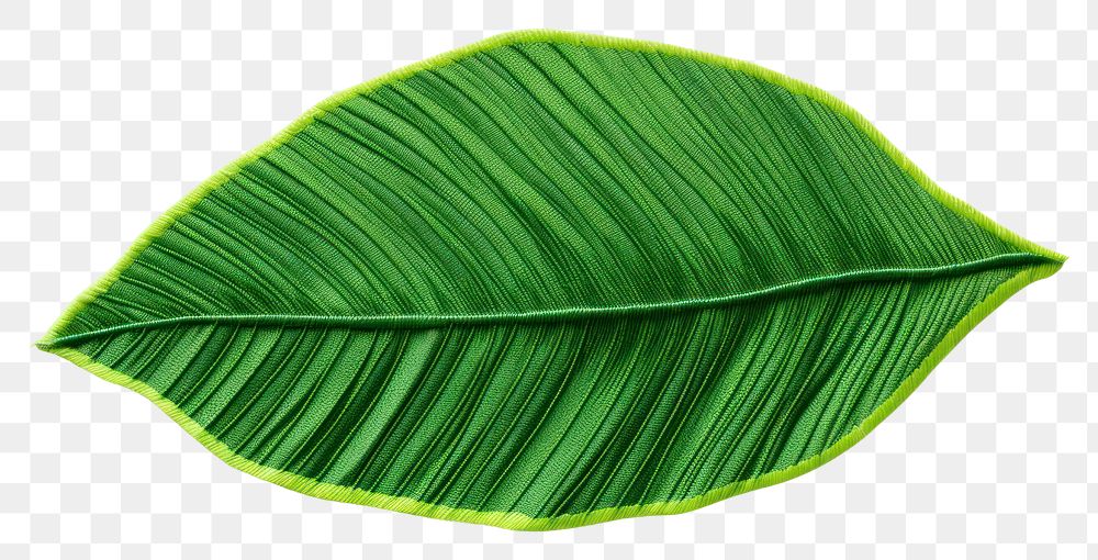 PNG  Banan leaf in embroidery style plant freshness nature.
