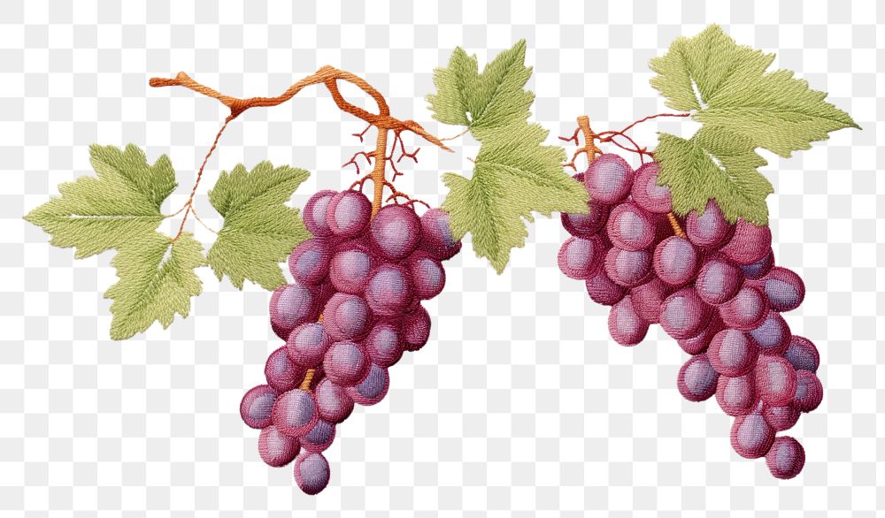 PNG  Grapes in embroidery style fruit plant food.