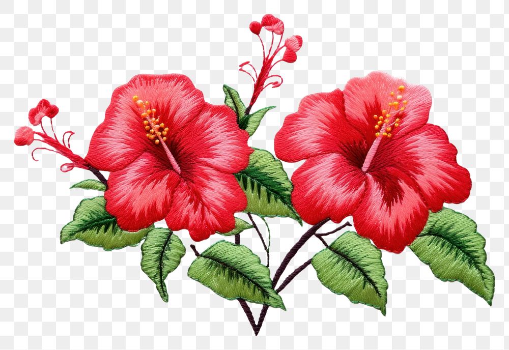 PNG  Hibicus in embroidery style hibiscus flower plant.