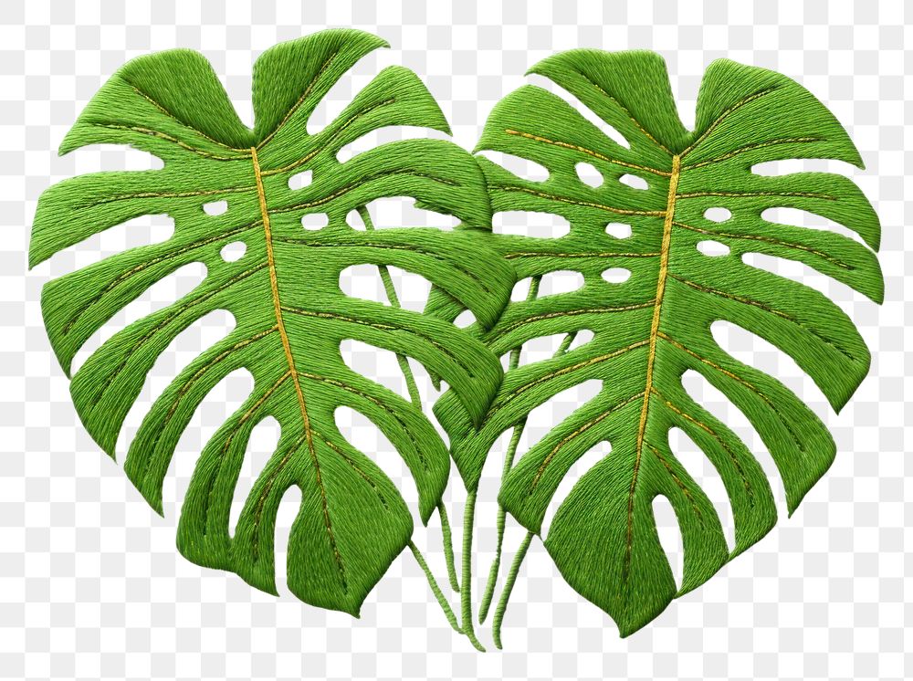 PNG  Monstera in embroidery style pattern plant leaf.