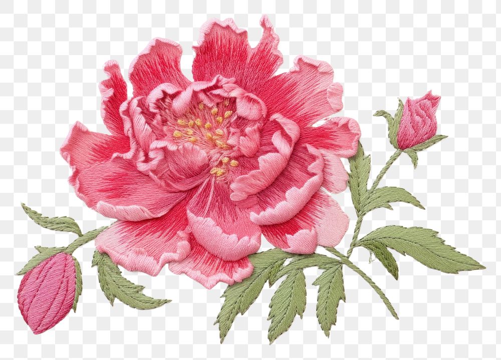 PNG  Peony in embroidery style pattern flower petal