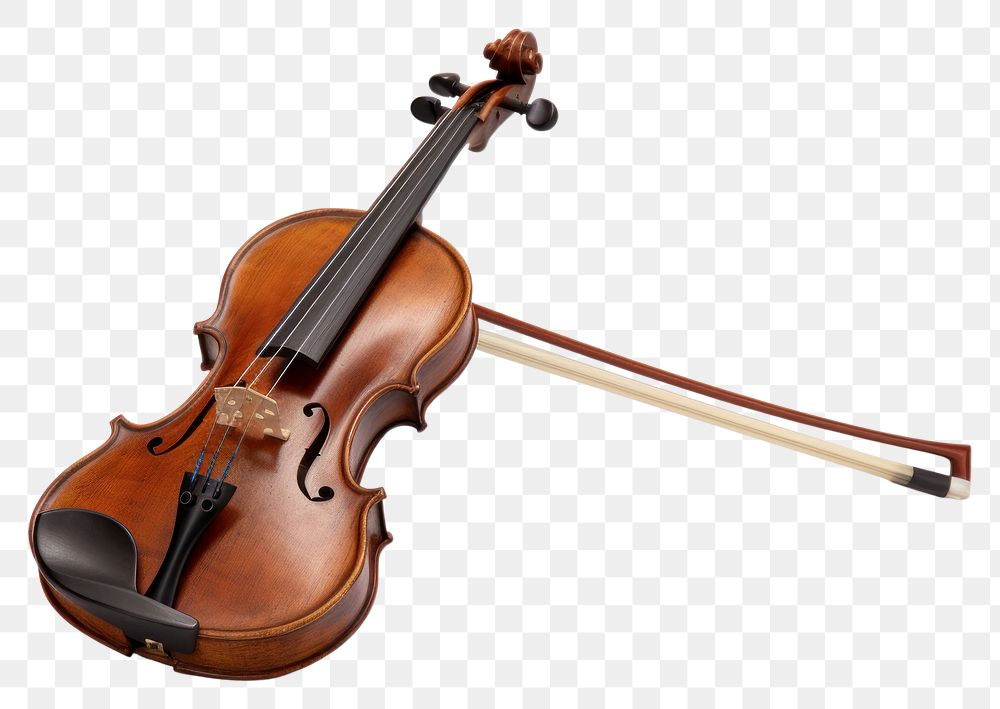 PNG Violin fiddle viola performance.