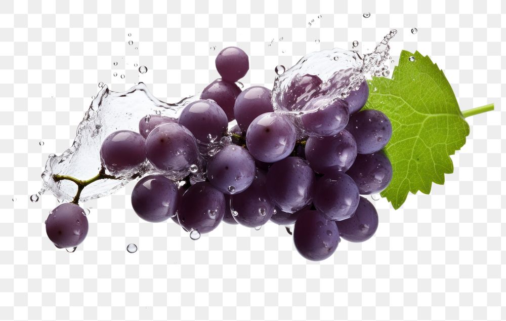 PNG  Purple grapes with splash falling fruit plant.