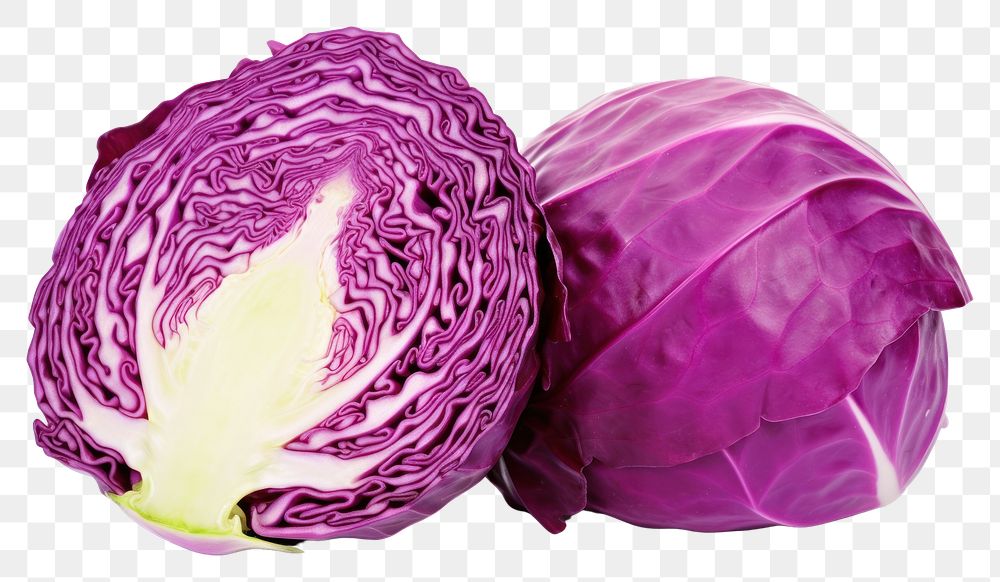 PNG Purple cabbage vegetable plant food.
