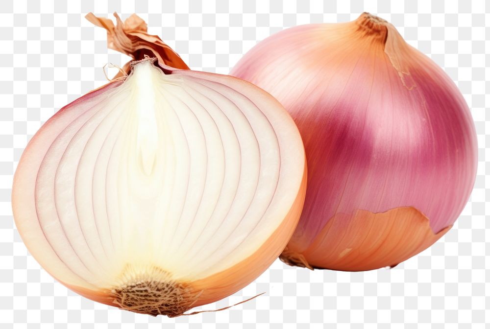 PNG Ripe onion vegetable shallot plant.
