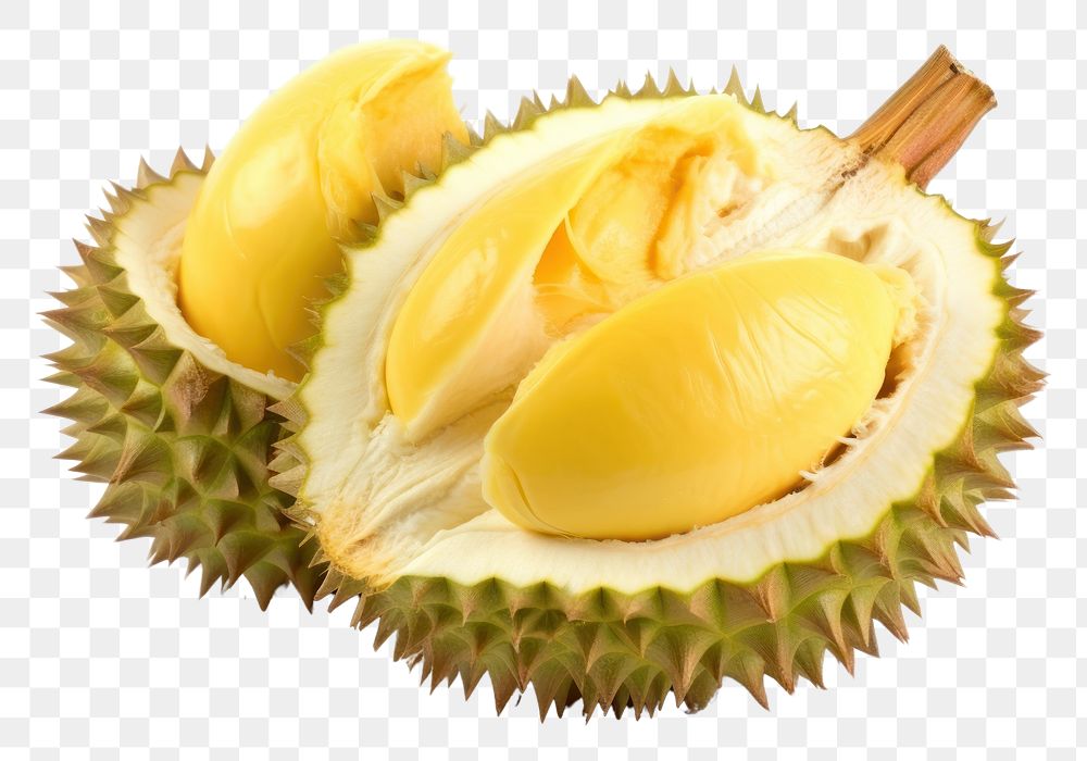 PNG Ripe durian fruit plant food.