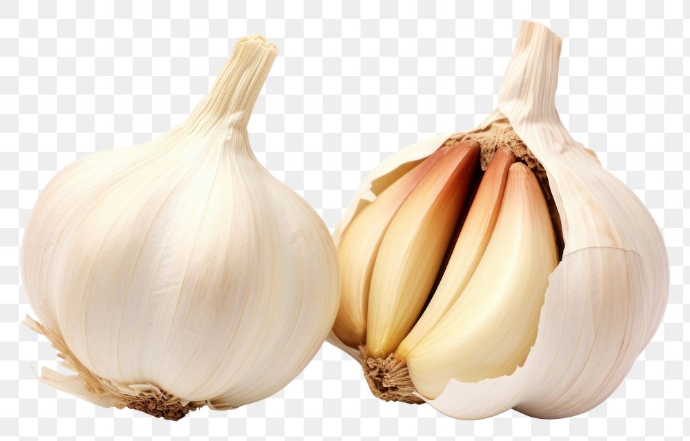 PNG Ripe garlic vegetable plant food.