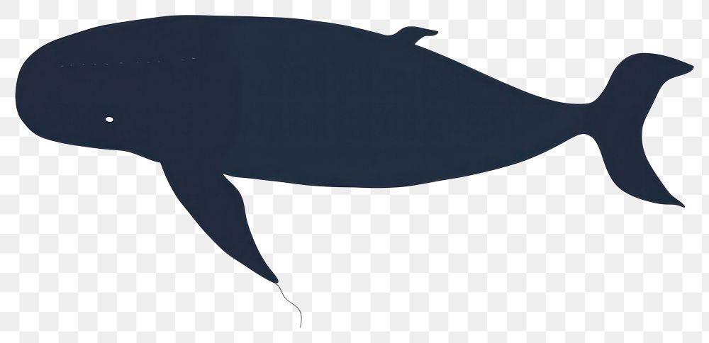PNG Whale minimalist form animal mammal fish.