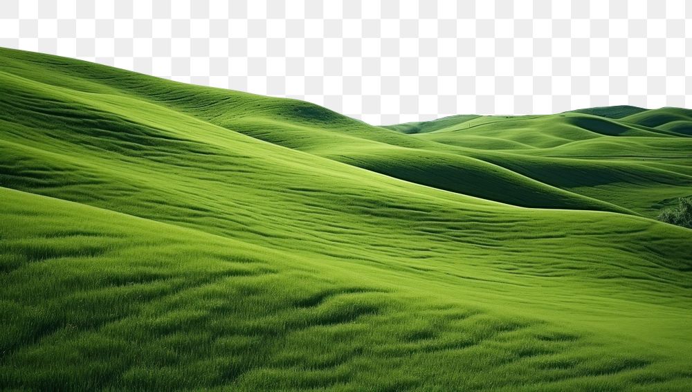 PNG Foliage landscape grass green. AI generated Image by rawpixel.