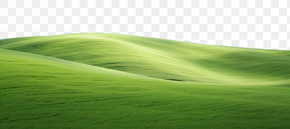 PNG Foliage landscape field grass. AI generated Image by rawpixel.
