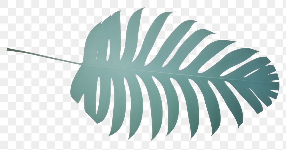 PNG Palm leaf minimalist form plant dynamite weaponry.