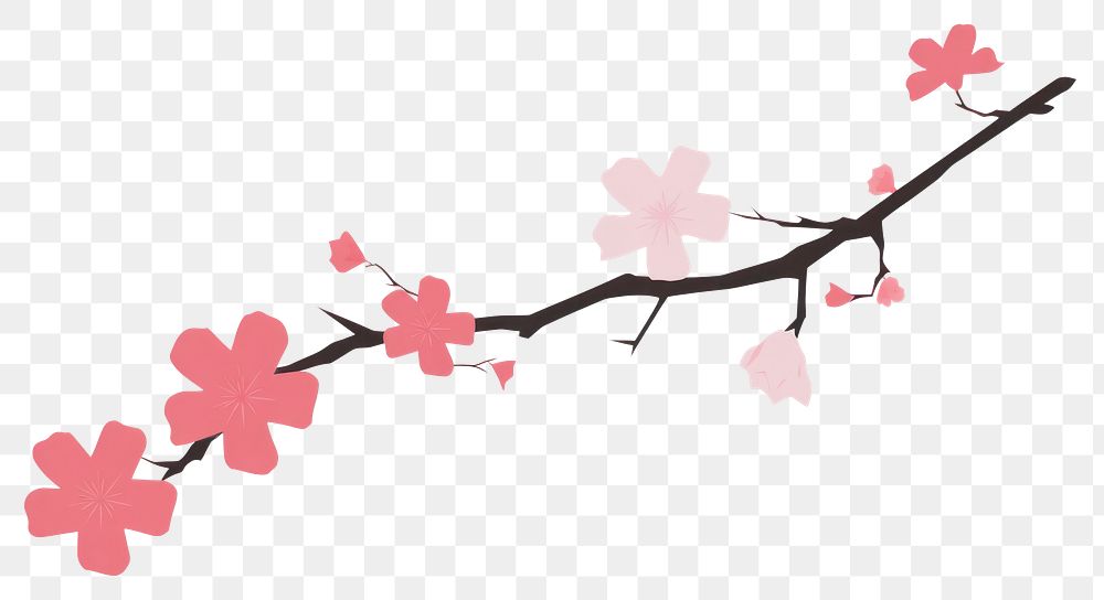 PNG Sakura flower minimalist form blossom plant white background.