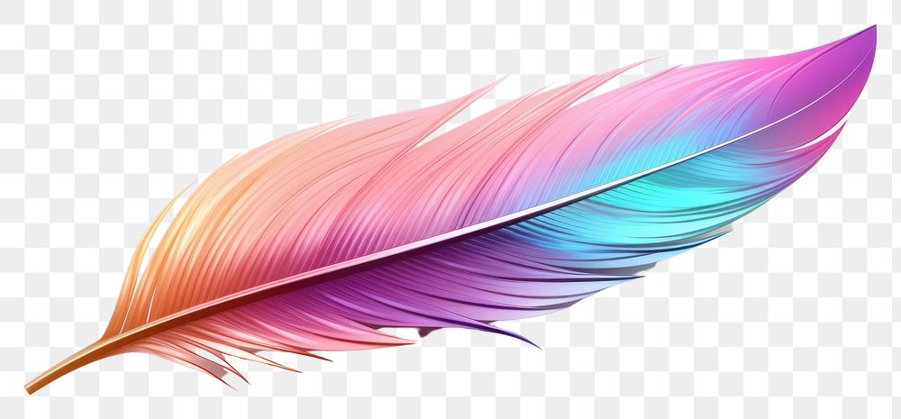 PNG  Bird feather iridescent white background lightweight accessories.