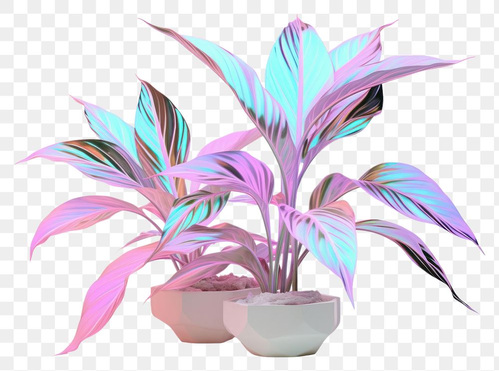 PNG  Plants iridescent flower leaf white background.