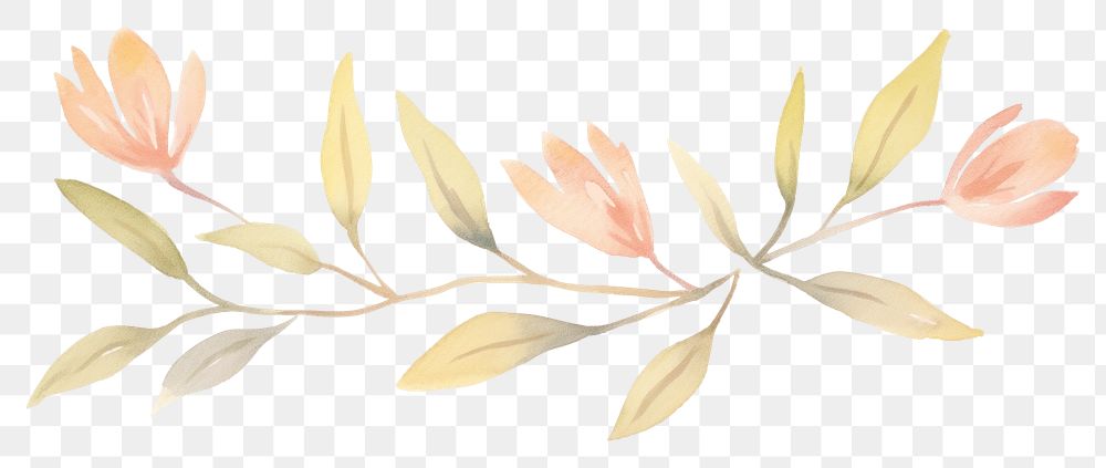 PNG Flower with leaves as line watercolour illustration painting pattern plant.