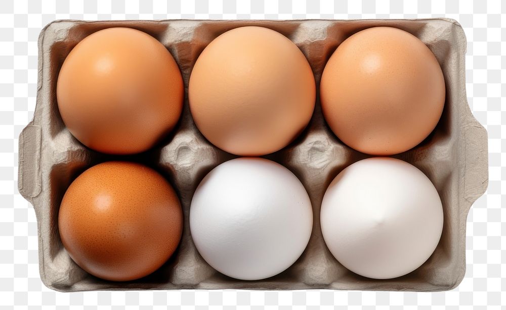 PNG Egg carton packaging mockup food white background ingredient.