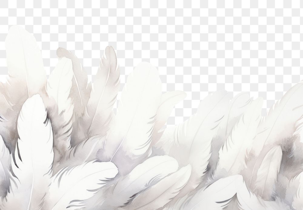 PNG White feathers boarder backgrounds copy space archangel.