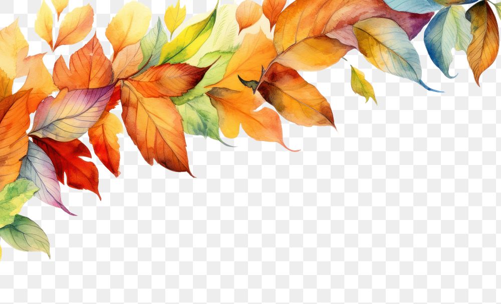 PNG Autumn leave backgrounds pattern plant.