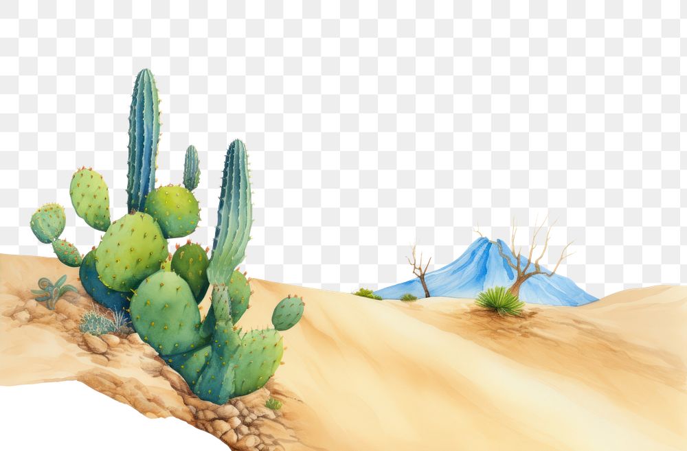 PNG Cactus and sand boarder outdoors nature plant.