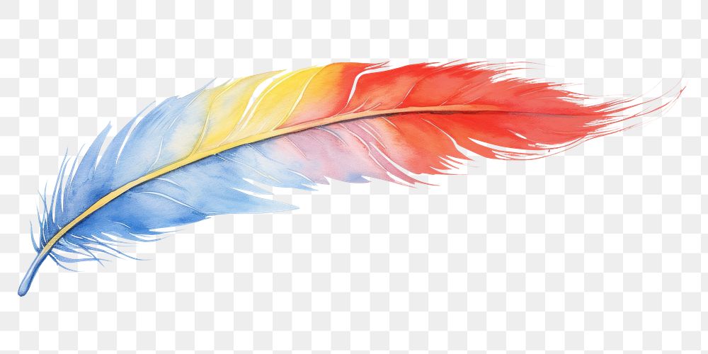 PNG Feather boarder white background lightweight creativity.
