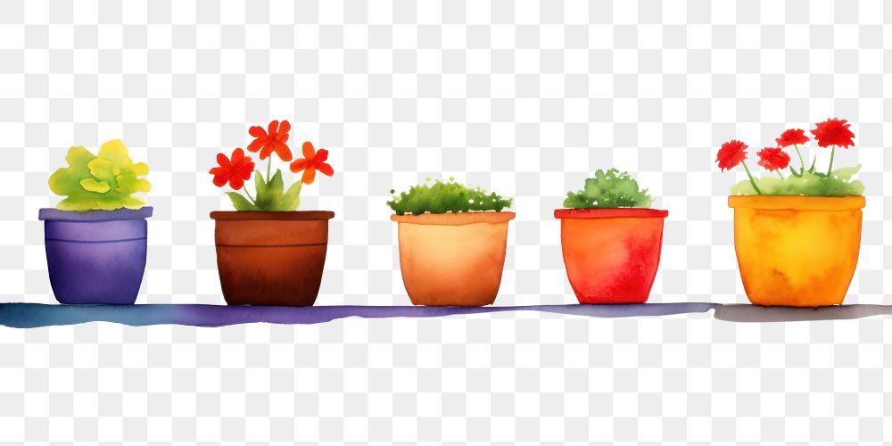 PNG Flower pots boarder plant arrangement creativity.