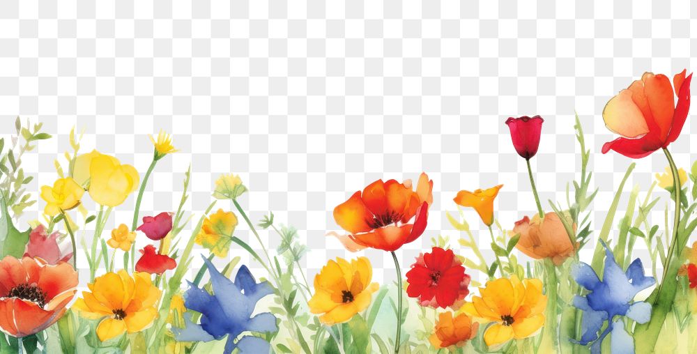 PNG Print of garden boarder backgrounds outdoors flower.