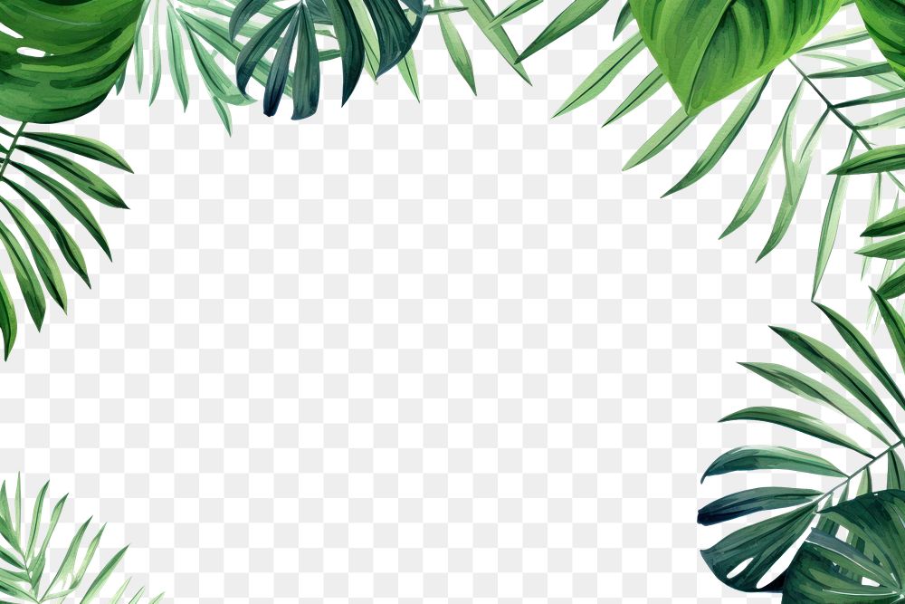 PNG Palm leaves boarder backgrounds outdoors nature.