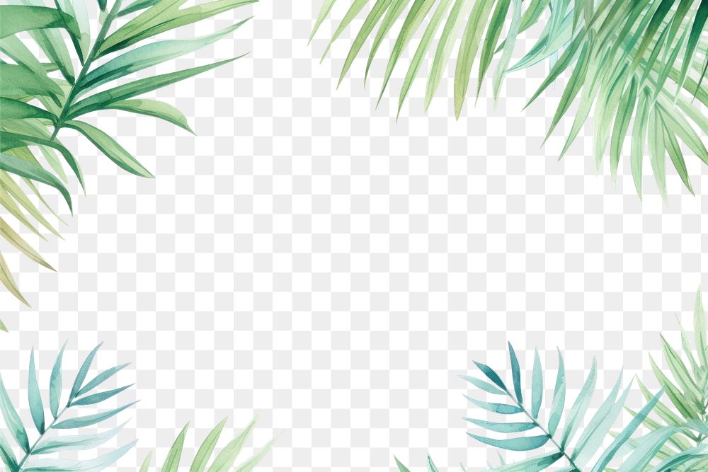 PNG Palm leaves boarder backgrounds nature plant.